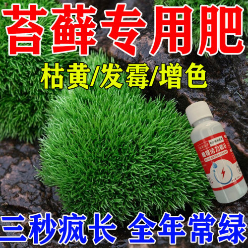 苔藓专用营养液绿植青苔微景观专用灯杀虫剂增绿防枯黄催孢子肥
