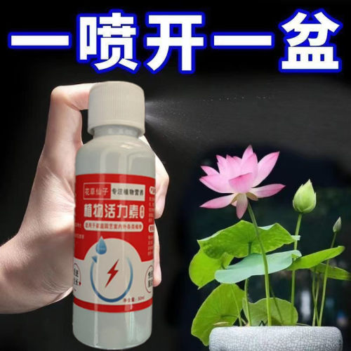 碗莲专用营养液水培睡莲通用肥治生长慢不发芽开花