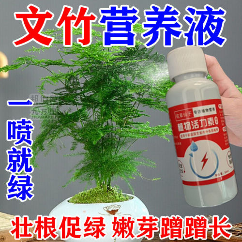 免稀释文竹专用营养液肥料家用盆栽植物液体肥室内养花绿植通用型