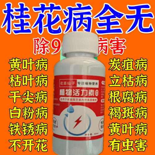 桂花枯叶病黄叶焦叶干尖掉叶子专用药杀菌催肥复活液促开花营养液
