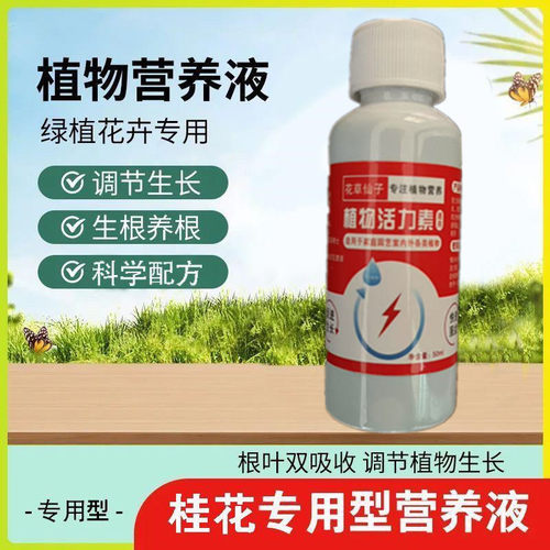 桂花树专用营养液肥料有机肥金桂四季桂焦尖黄叶干叶家用通用花肥