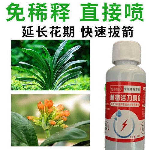 适合各种花的营养液君子兰肥料专用肥四季开花促箭腰肥植物再生剂