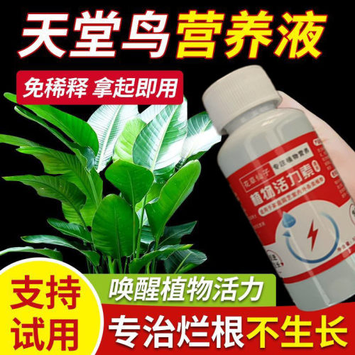 天堂鸟营养液浓缩专用肥家用喷叶花肥料养花花卉液体肥复合有机肥