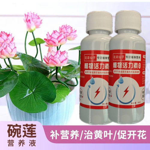 水养碗莲营养液水培植物专用睡莲水溶肥水培莲花荷花肥料促进开花