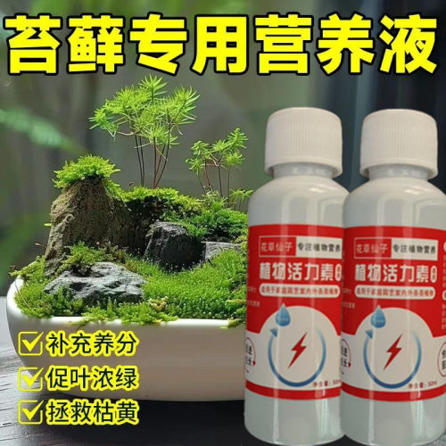 【急救苔藓】苔藓专用营养液免稀释液体肥料微景观生态瓶黄叶肥料
