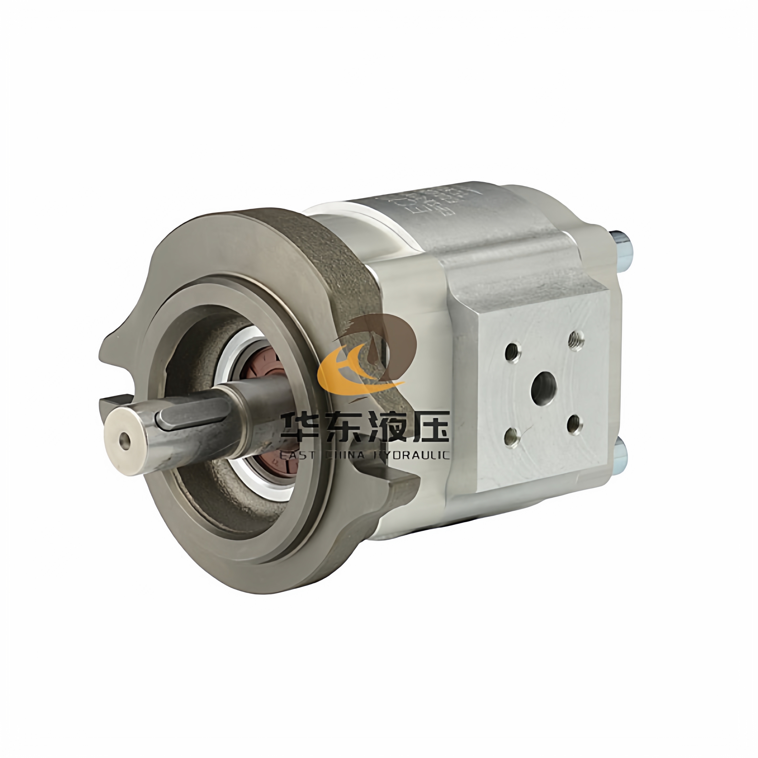 Eckerle 艾可勒EIPS2-011RA04-12注塑机伺服齿轮油泵