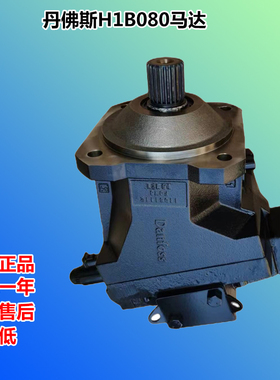 萨奥丹佛斯H1B080非开挖水平定向钻机马达H1B080 A AE2AANBTBDNJN