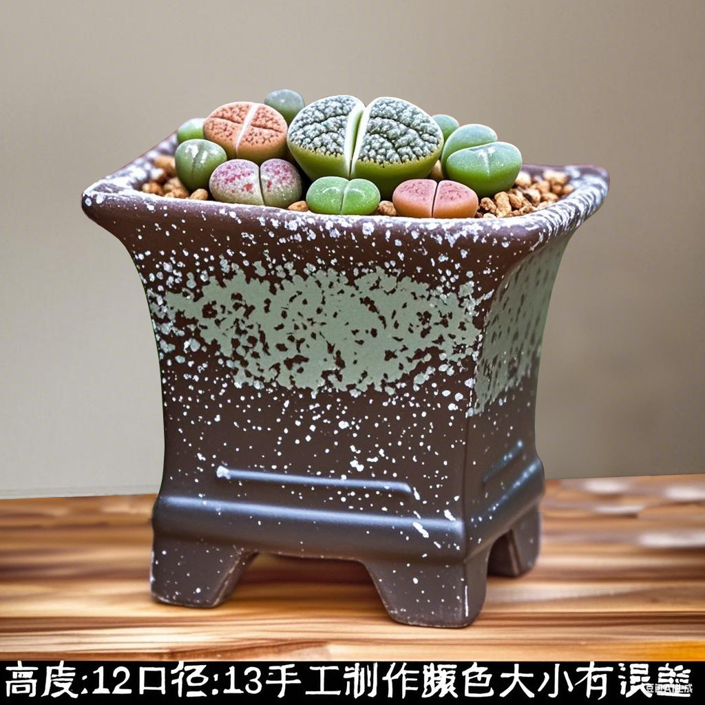 多肉花盆四方绿植创意粗陶透气