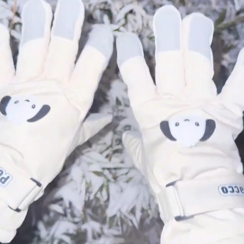 手套女冬季滑雪户外骑行防风防寒加绒加厚保暖防滑触屏手套