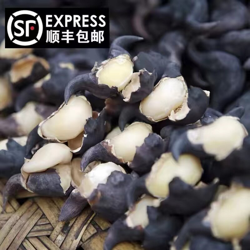 顺丰包邮  洪湖特产老菱角黑皮菱角果粉糯香甜菱角新鲜水果蔬菜