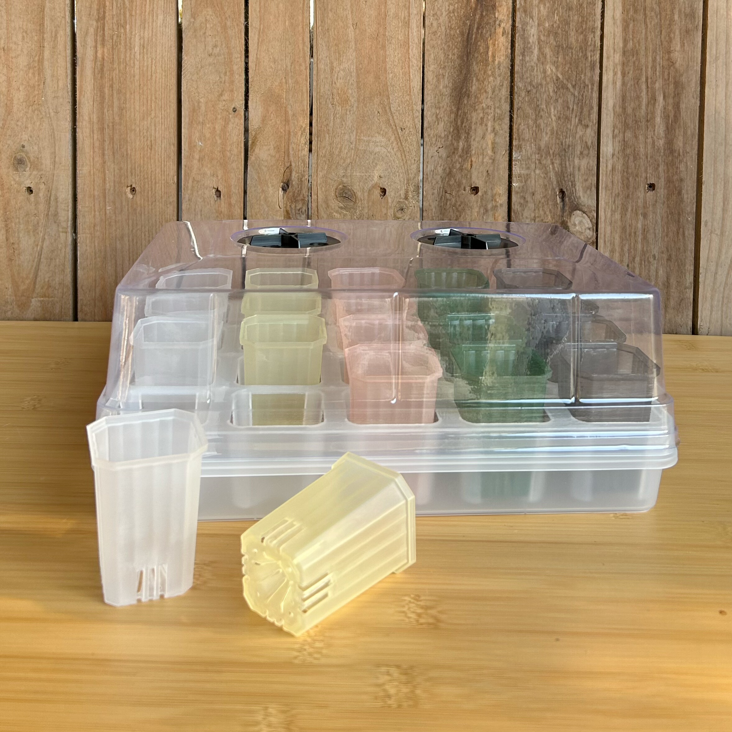 【口径4.8cm】20格托架整理托盘多肉透明花盆特小迷你塑料扦插盆