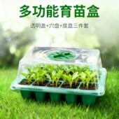 保温盒扦插多肉家用育苗盘绿植穴盘花卉果蔬花盆栽 24孔育苗盒