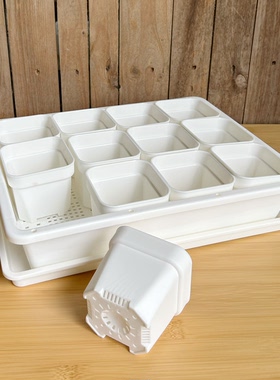 【口径8cm】加厚塑料多肉盆育苗盘带盖叶插播种整理框生石花盆