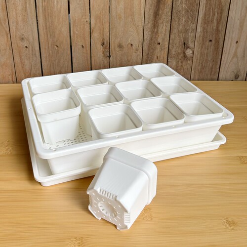 【口径8cm】加厚塑料多肉盆育苗盘带盖叶插播种整理框生石花盆