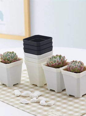 7方盆10方盆小白方多肉盆八角盆塑料方形种植黑白透明盆栽万象盆