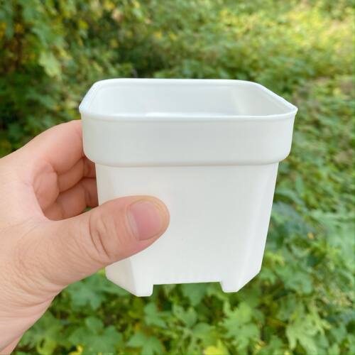优惠特小号韩式特厚黑色浅口方盆
