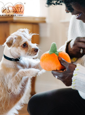 Petplay宠物狗狗逗趣解闷发声互动陪伴玩具小狗自嗨神器智力开发