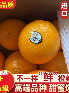 2026澳橙进口黑标3107脐橙汁多味美橙子甜橙新鲜水果当季整箱孕妇