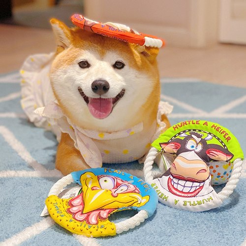 狗狗玩具缆绳耐咬宠物柯基猫圈