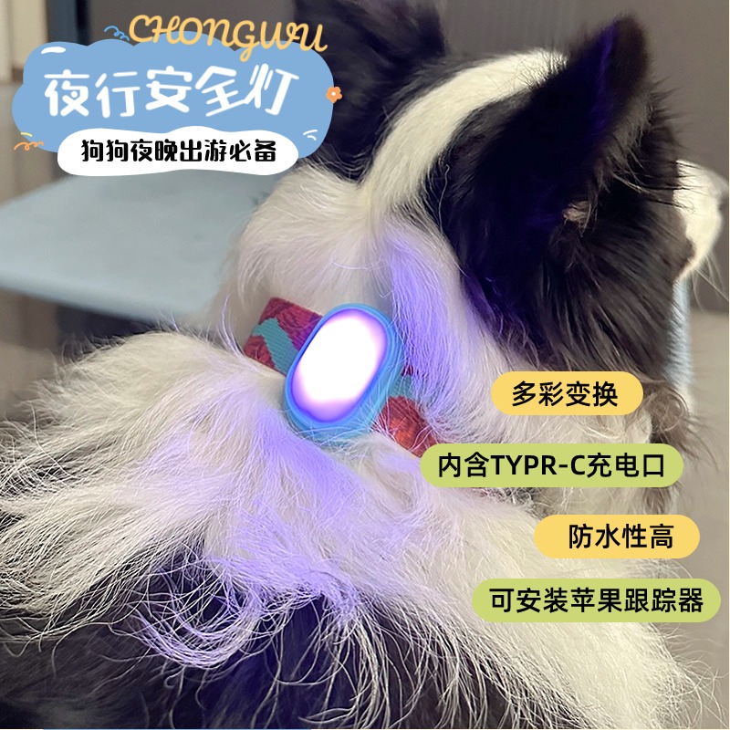 宠物狗狗夜行灯夜晚外出遛狗安全灯充电防水多彩夜光柴犬防走失灯
