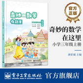 自营旗舰店 小学数学思维拓展训练 奇妙 小学三年级上册 趣味学数学数学阅读 数学在这里 唐彩斌 小学教辅同步教材