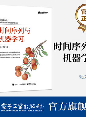 官方旗舰店 时间序列与机器学习 时间序列分析预测异常检测方法 时间序列相似性度量方法聚类算法书 多维时间序列应用书籍