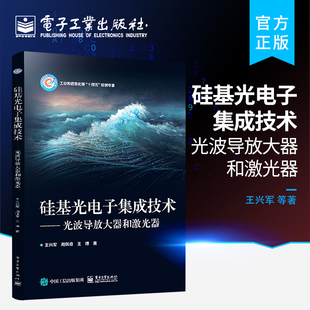 物理电子学 通信与信息系统等相关 光波导放大器和激光器 官方旗舰店 光电子学 光学工程 硅基光电子集成技术 微电子与固体电子学