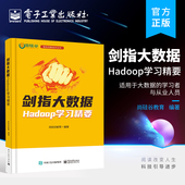 基于Hadoop3.1.3HDFS MapReduce 电子工业出版 剑指大数据 尚硅谷教育 Hadoop学习精要 内核原理和调优方法教程 官方旗舰店 YARN