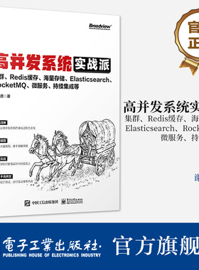 官方旗舰店 高并发系统实战派 集群 Redis缓存 海量存储 Elasticsearch RocketMQ 微服务 持续集成等 企业系统技术框架搭建技术