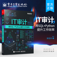 官方正版 IT审计：用SQL+Python提升工作效率 数据可视化技巧图书籍 Python基础与Python实战技巧 IT审计学习SQL基础与实战 涂佳兵