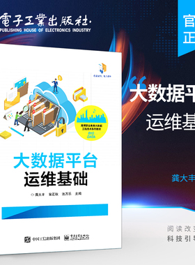 官方旗舰店 大数据平台运维基础 Hadoop环境搭建与运维Hive HBase Hadoop常用组件安装 大数据系统运行维护书 龚大丰