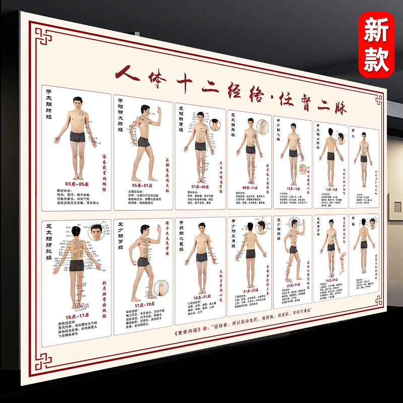 人体十二经络挂图穴位图解运行走向图中医真人穴位标准大图装饰画