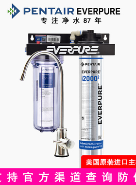 美国爱惠浦超滤机I20002净水器双联直饮机商用制冰机水吧大流量型