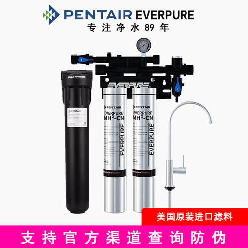 爱惠浦活性炭净水器商用大流量