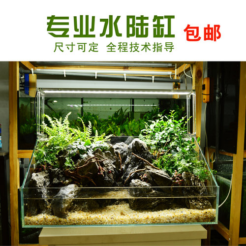 水陆缸超白 微景观草缸植物生态雨林造景鱼缸套餐水族箱 两栖鱼缸 - 封面
