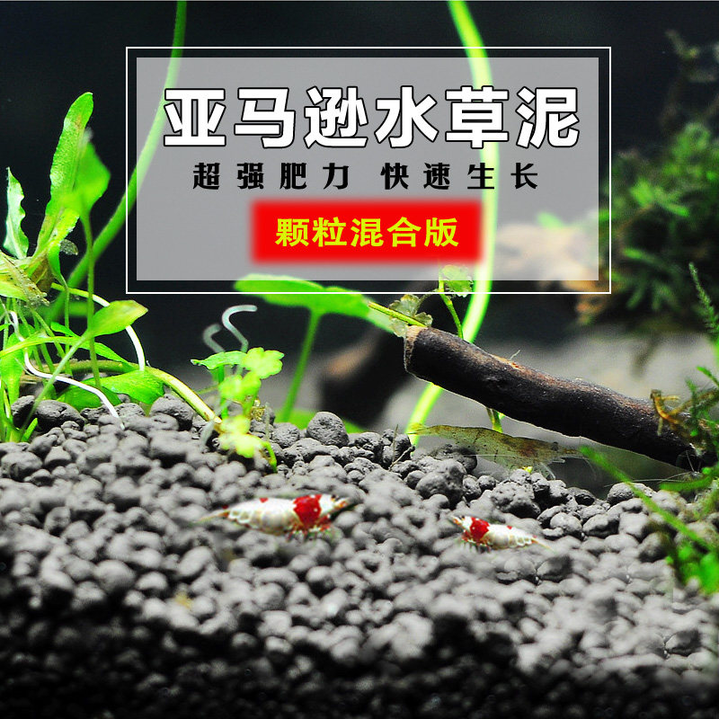 鱼缸水草泥亚马逊鱼缸活体营养