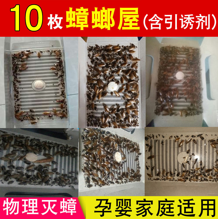 出口日本蟑螂屋捕捉器除杀灭小药家用全窝端蟑螂强力零毒厨房清贴