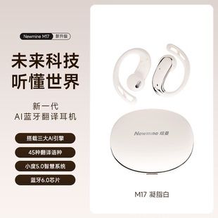 无线蓝牙翻译耳机AI智能降噪高音质运动商务 Newmine纽曼M17挂耳式