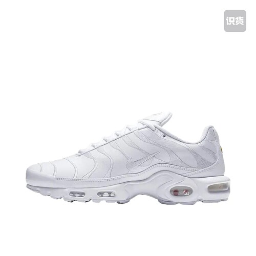 Nike Air Max Plus 跑鞋 休闲舒适轻便网布 AJ2029-100