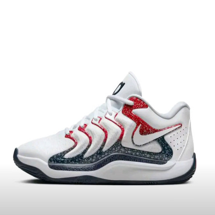 Nike KD 17 篮球鞋 FJ9488-101 河北ZY仓