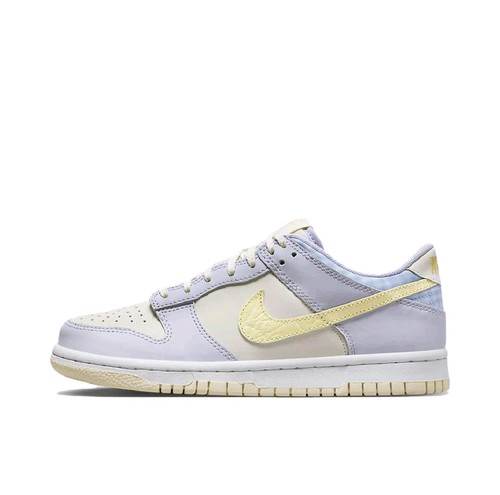Nike Dunk Low舒适百搭低帮板鞋FJ4641-536江西JW仓