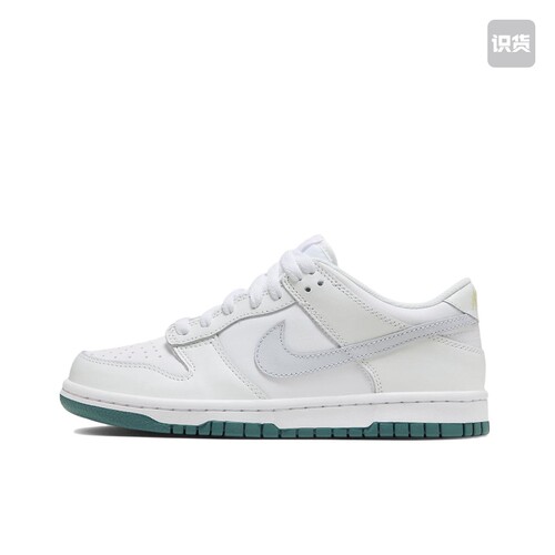 Nike Dunk 防滑耐磨 复古 运动 FD9911-101