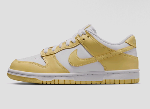 Nike Dunk 板鞋 经典复古百搭 大童/白色 FB9109-126