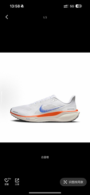 Nike Pegasus 41 