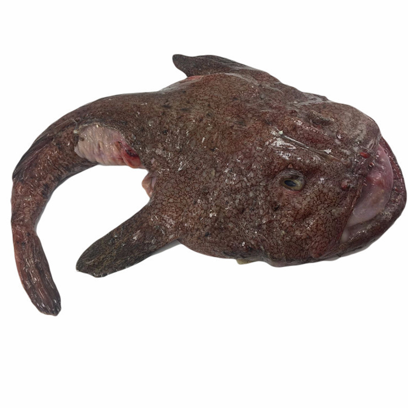 6-9斤/条 北京闪送 冰鲜 安康鱼 新鲜海鲜 水产 老头鱼