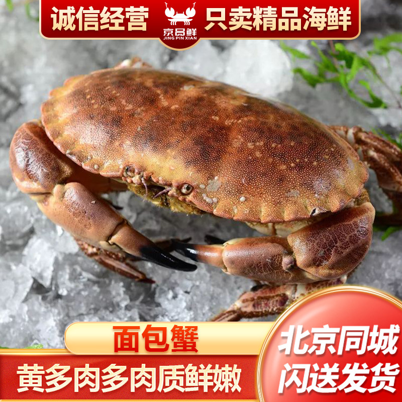 北京可闪送1.5-3斤/只鲜活面包蟹母蟹进口海鲜水产黄金螃蟹