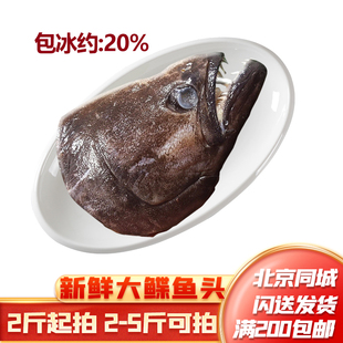 2斤起拍 新鲜大鲽鱼头 格林兰深海比目鱼头宝宝辅食北京闪送