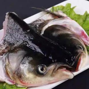 北京闪送 2.5-5斤 新鲜胖头鱼 胖头鱼 鱼头 活杀大鱼头 雄鱼头