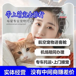 宠物托运服务全国猫咪狗航空运输动物犬上海杭州北京深圳国际手续