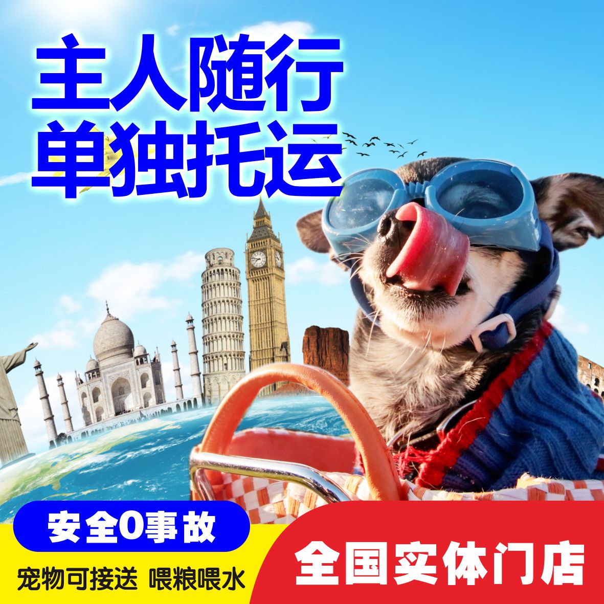 宠物托运服务全国空运猫咪狗狗随宠物托运